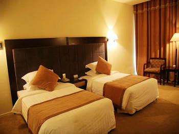 ����������Ƶ�