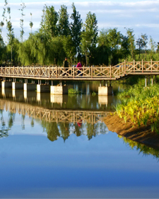 209���ʻ����˶����ֲ�