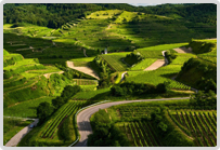 ������Դ